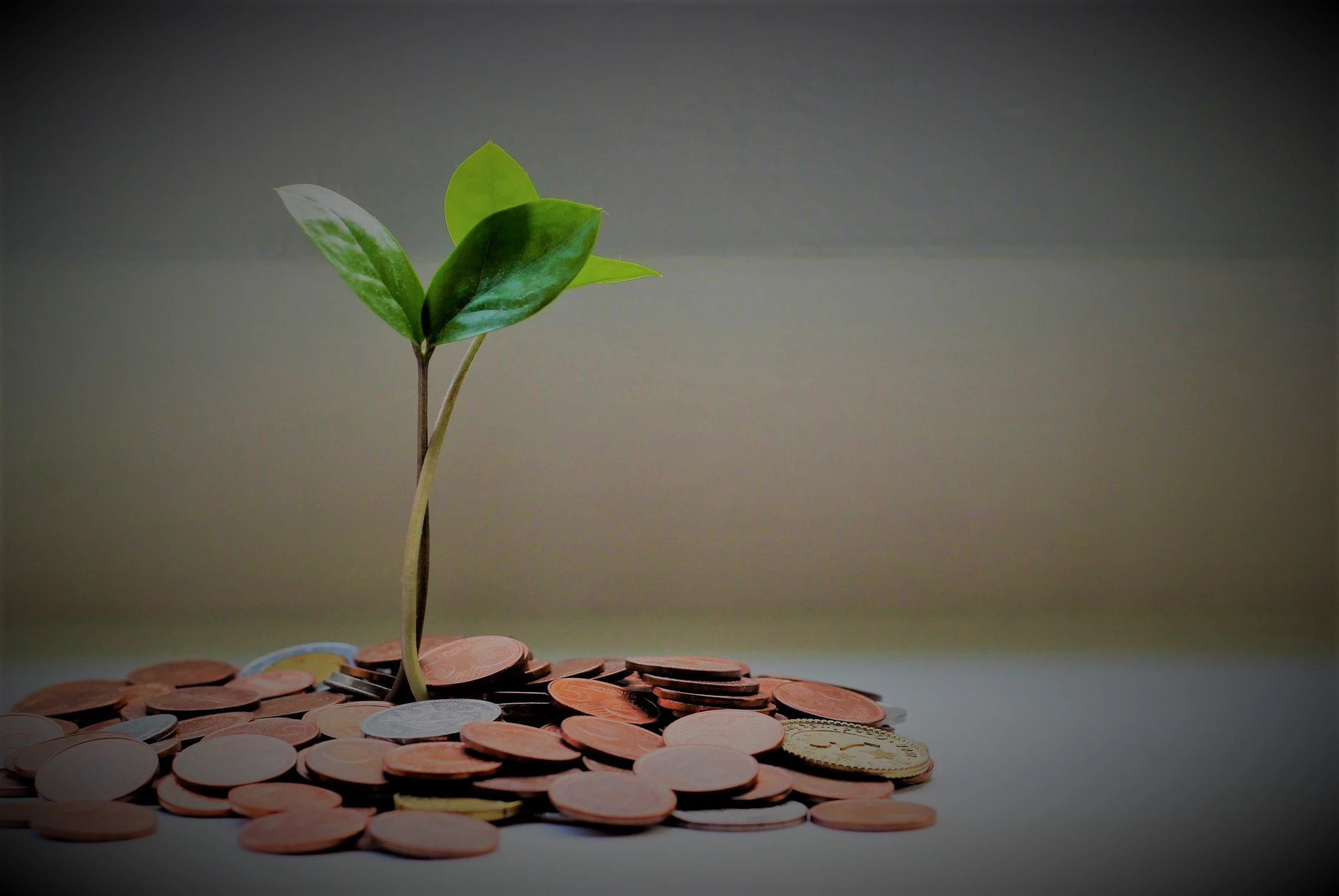 الحرية المالية هدف يسعى إليه الكثيرون وهي تتضمن الحصول على دخل كافٍ لتغطية جميع نفقاتك مع بقاء بعض المال للادخار والاستثمار للمستقبل قد يبدو تحقيق الحرية المالية أمرًا شاقًا ولكنه ممكن بالتأكيد مع اتباع العادات والعقلية الصحيحة إليك ١٠ عادات تساعدك على تحقيق الحرية المالية